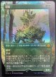 画像1: 【JPN】【Foil】■ボーダーレス■《忍耐/Endurance》[MH2]初期不良 (1)