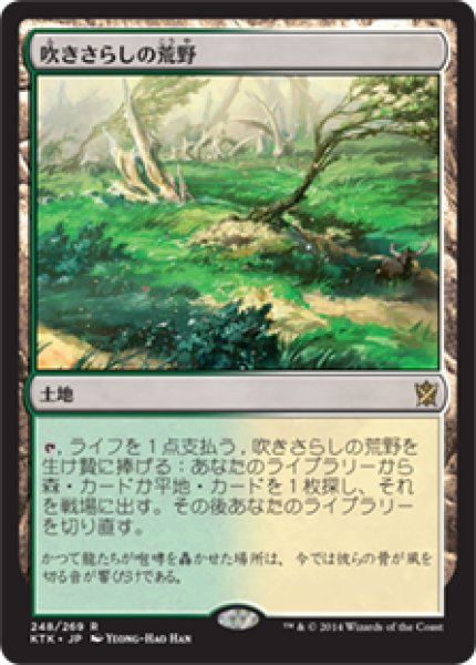 画像1: 【JPN】【Foil】《吹きさらしの荒野/Windswept Heath》[KTK] (1)