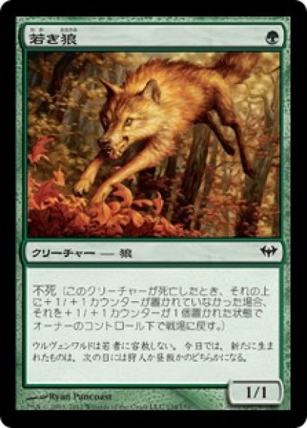 画像1: 【JPN】《若き狼/Young Wolf》[DKA] (1)