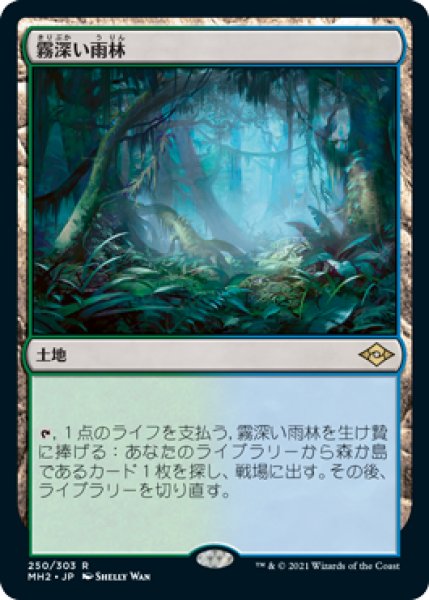 画像1: 【JPN】【Foil】《霧深い雨林/Misty Rainforest》[MH2] (1)