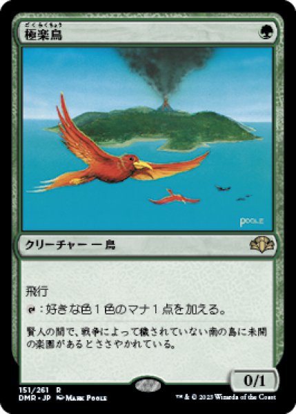 画像1: 【JPN】《極楽鳥/Birds of Paradise》[DMR] (1)