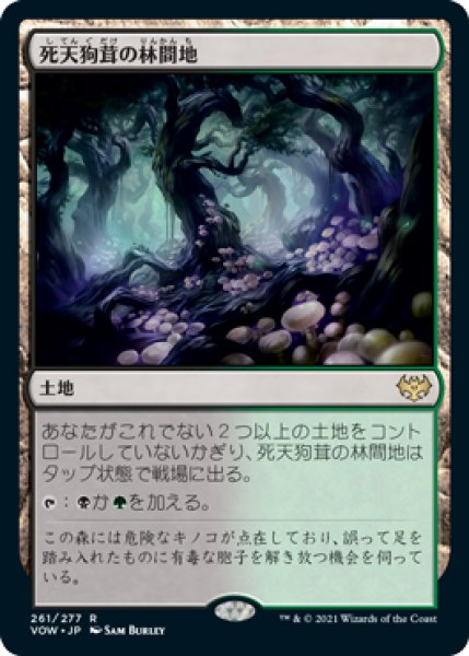 画像1: 【JPN】《死天狗茸の林間地/Deathcap Glade》[VOW] (1)