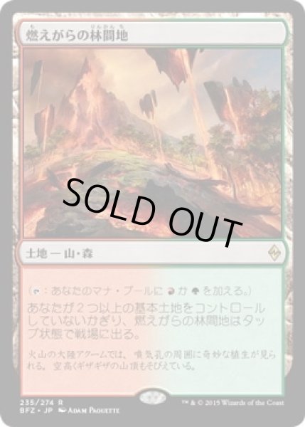 画像1: 【JPN】《燃えがらの林間地/Cinder Glade》[BFZ] (1)