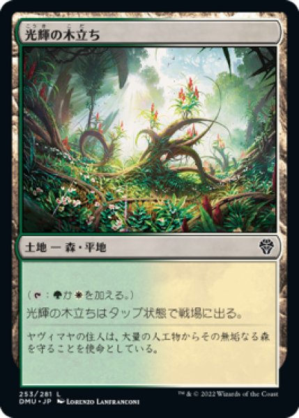 画像1: 【JPN】【Foil】《光輝の木立ち/Radiant Grove》[DMU] (1)