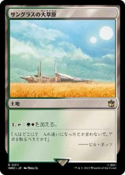 画像1: 【JPN】《サングラスの大草原/Sungrass Prairie》[WHO] (1)