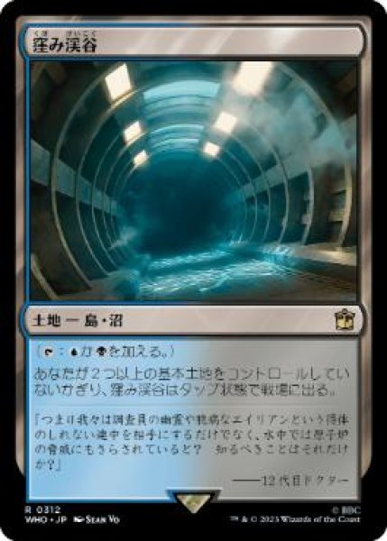 画像1: 【JPN】《窪み渓谷/Sunken Hollow》[WHO] (1)