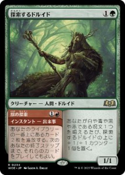 画像1: 【JPN】【Foil】■プロモスタンプ付■《探索するドルイド/Questing Druid》[WOE] (1)