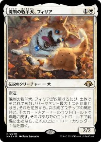 画像1: 【JPN】《溌剌の牧羊犬、フィリア/Phelia, Exuberant Shepherd》[MH3] (1)