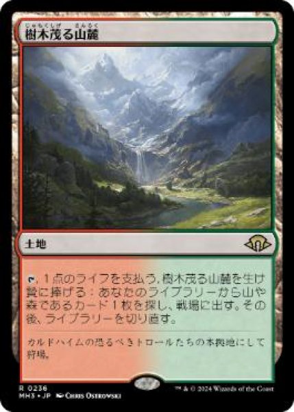 画像1: 【JPN】【Foil】《樹木茂る山麓/Wooded Foothills》[MH3] (1)