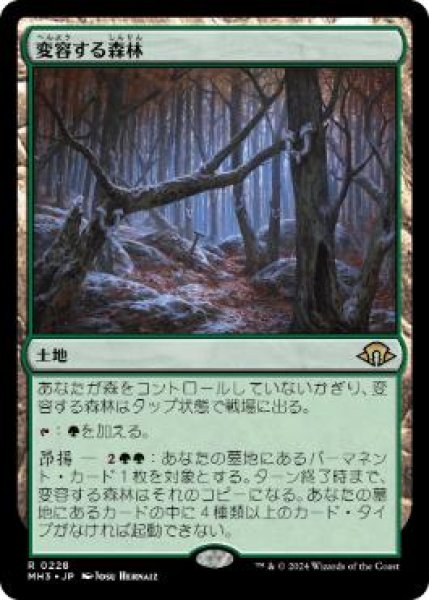 画像1: 【JPN】【Foil】《変容する森林/Shifting Woodland》[MH3] (1)