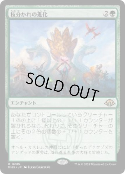 画像1: 【JPN】【Foil】《枝分かれの進化/Branching Evolution》[MH3] (1)