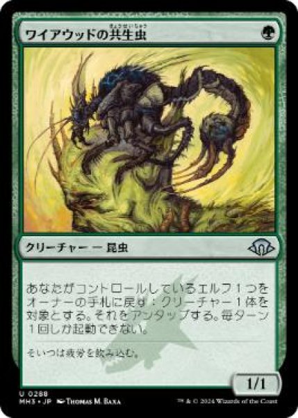 画像1: 【JPN】【Foil】《ワイアウッドの共生虫/Wirewood Symbiote》[MH3] (1)