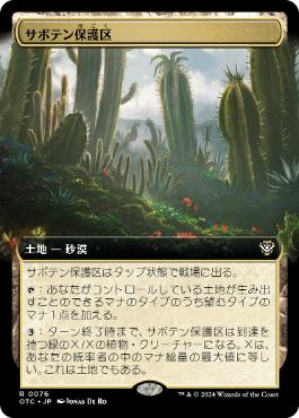 画像1: 【JPN】■拡張アート■《サボテン保護区/Cactus Preserve》[OTC] (1)