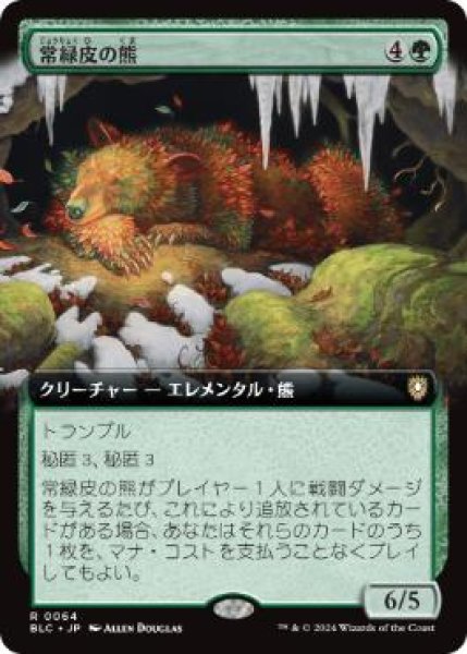 画像1: 【JPN】■拡張アート■《常緑皮の熊/Evercoat Ursine》[BLC] (1)