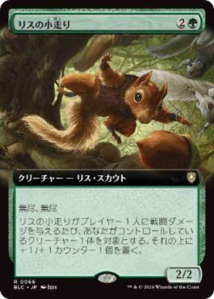 画像1: 【JPN】■拡張アート■《リスの小走り/Scurry of Squirrels》[BLC] (1)