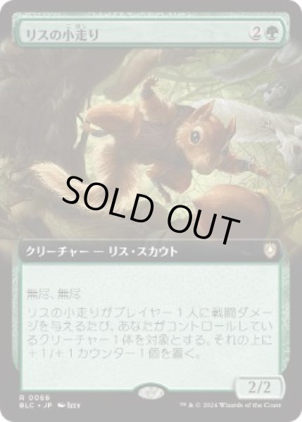 画像1: 【JPN】■拡張アート■《リスの小走り/Scurry of Squirrels》[BLC] (1)