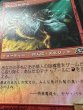 画像4: 【JPN】【Foil】《猿人の指導霊/Simian Spirit Guide》Poor[PLC] (4)