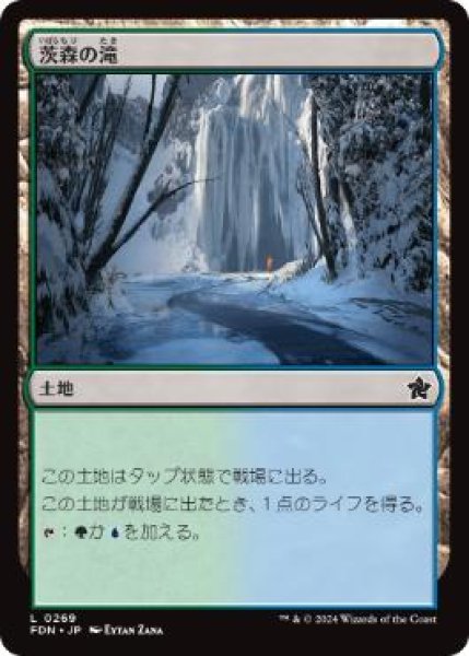 画像1: 【JPN】 《茨森の滝/Thornwood Falls》[FDN] (1)