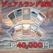 画像1: 冬のデュアルランド確定くじ (1)