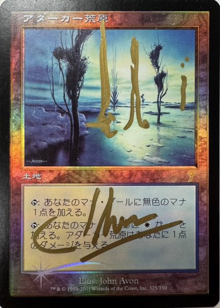 画像1: 【JPN】【Foil】《アダーカー荒原/Adarkar Wastes》Signed(3)[7ED] (1)