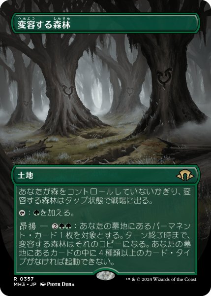 画像1: 【JPN】■ボーダーレス■《変容する森林/Shifting Woodland》[MH3] (1)